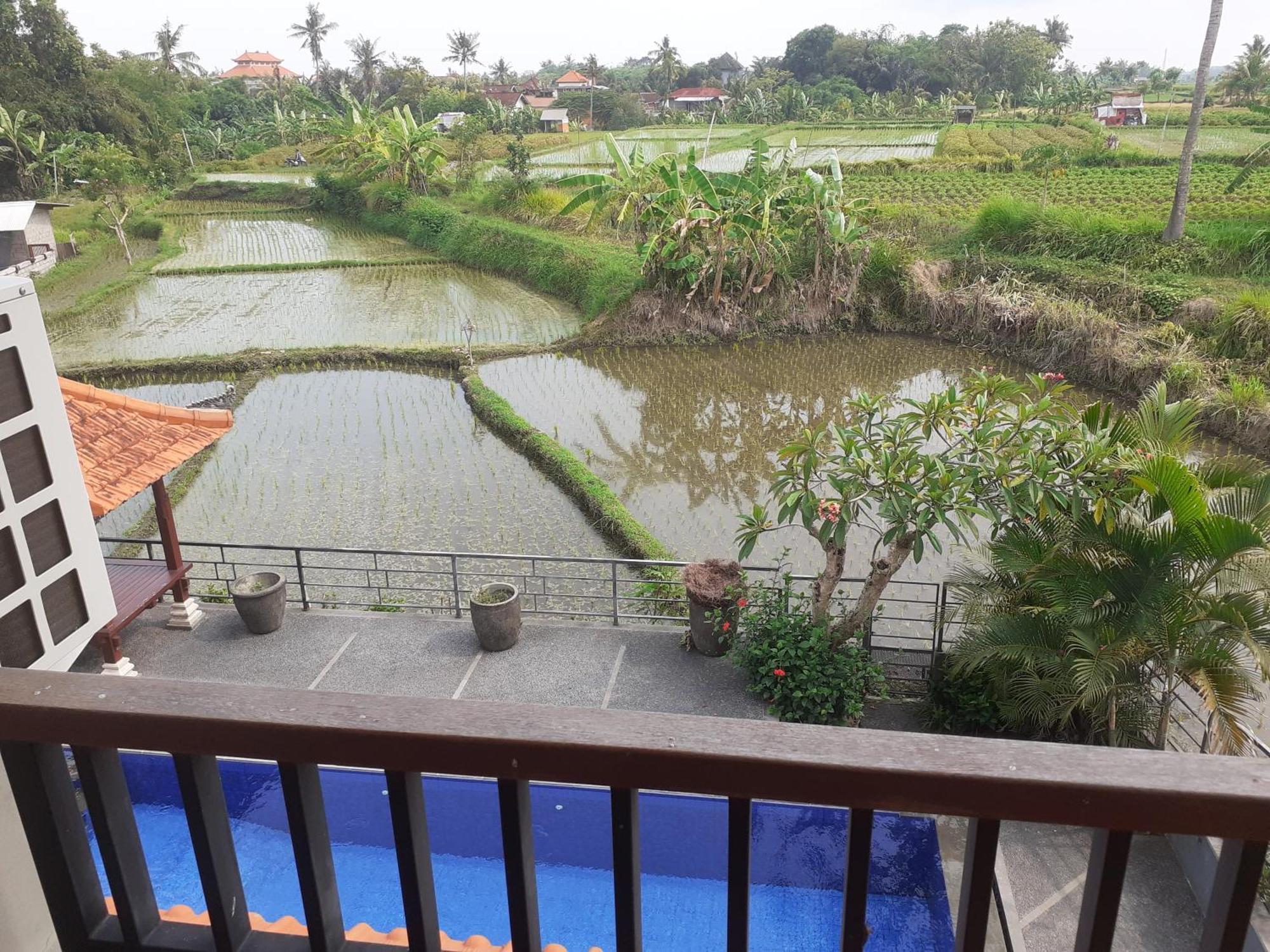 Ferienwohnung Griya Bun Sari Sukawati Exterior foto