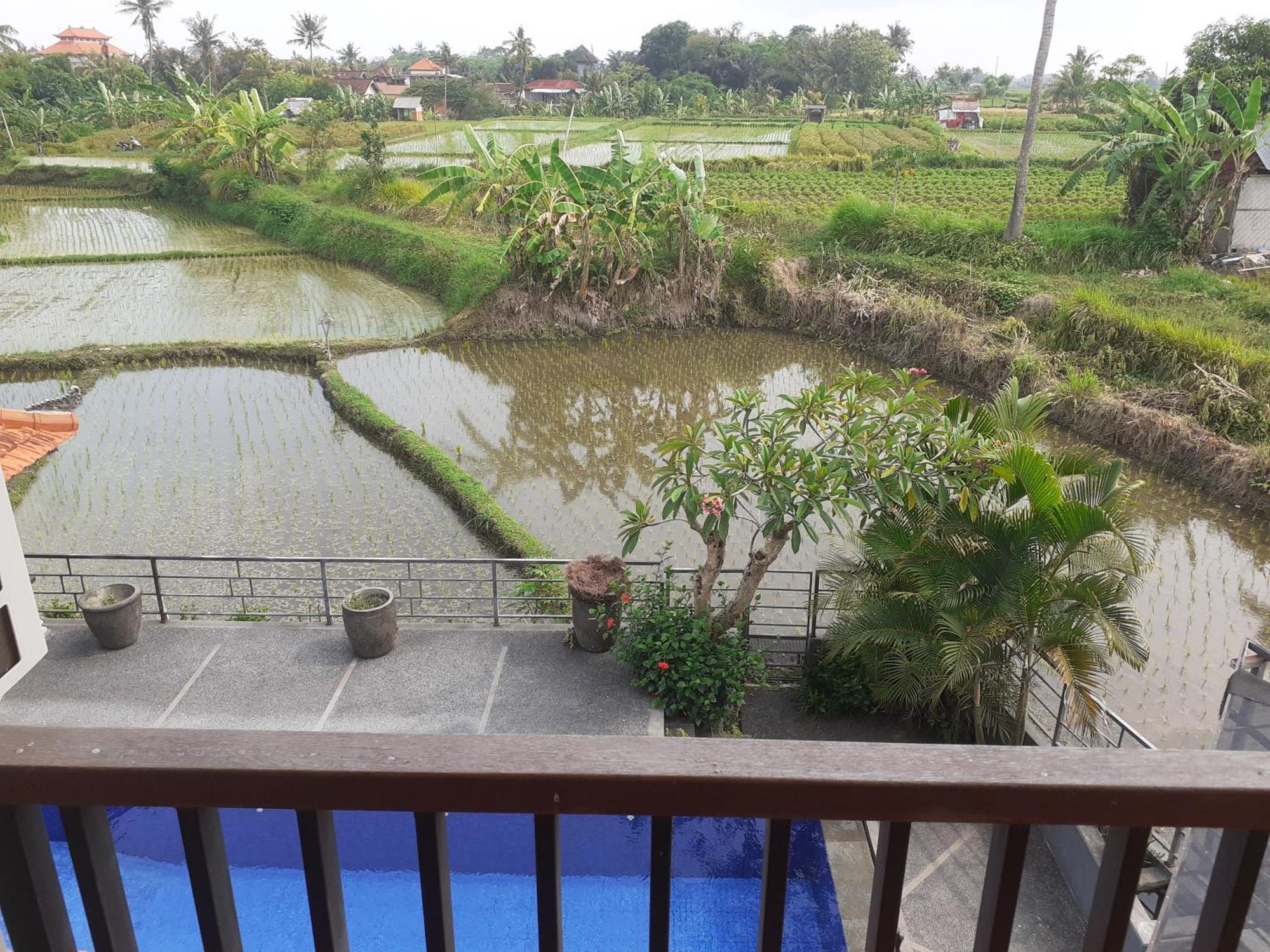Ferienwohnung Griya Bun Sari Sukawati Exterior foto