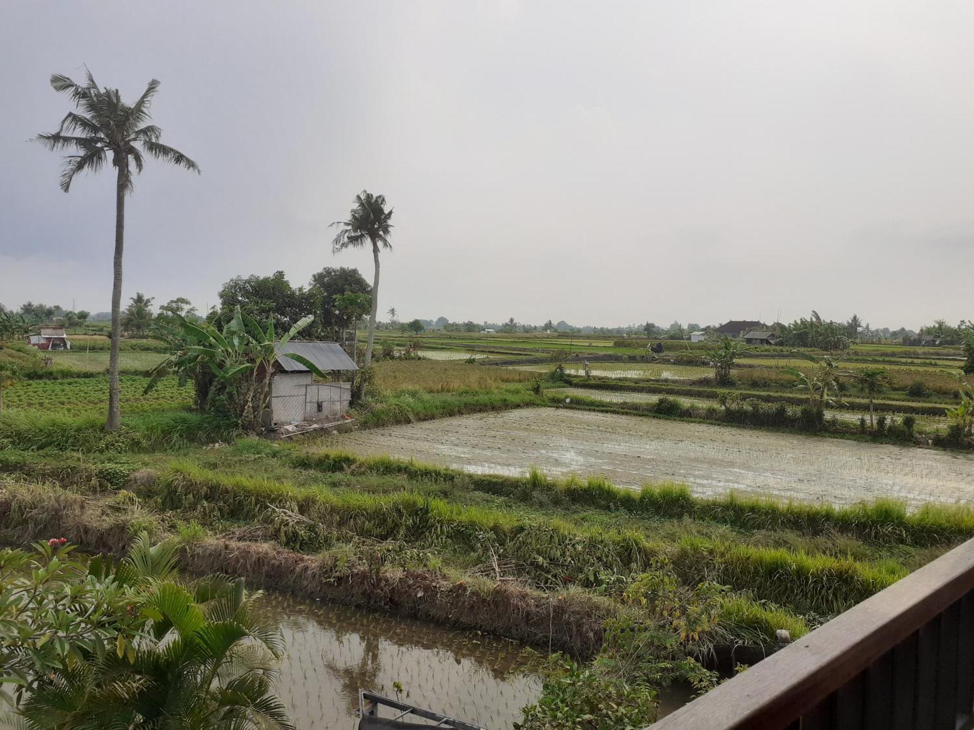 Ferienwohnung Griya Bun Sari Sukawati Exterior foto