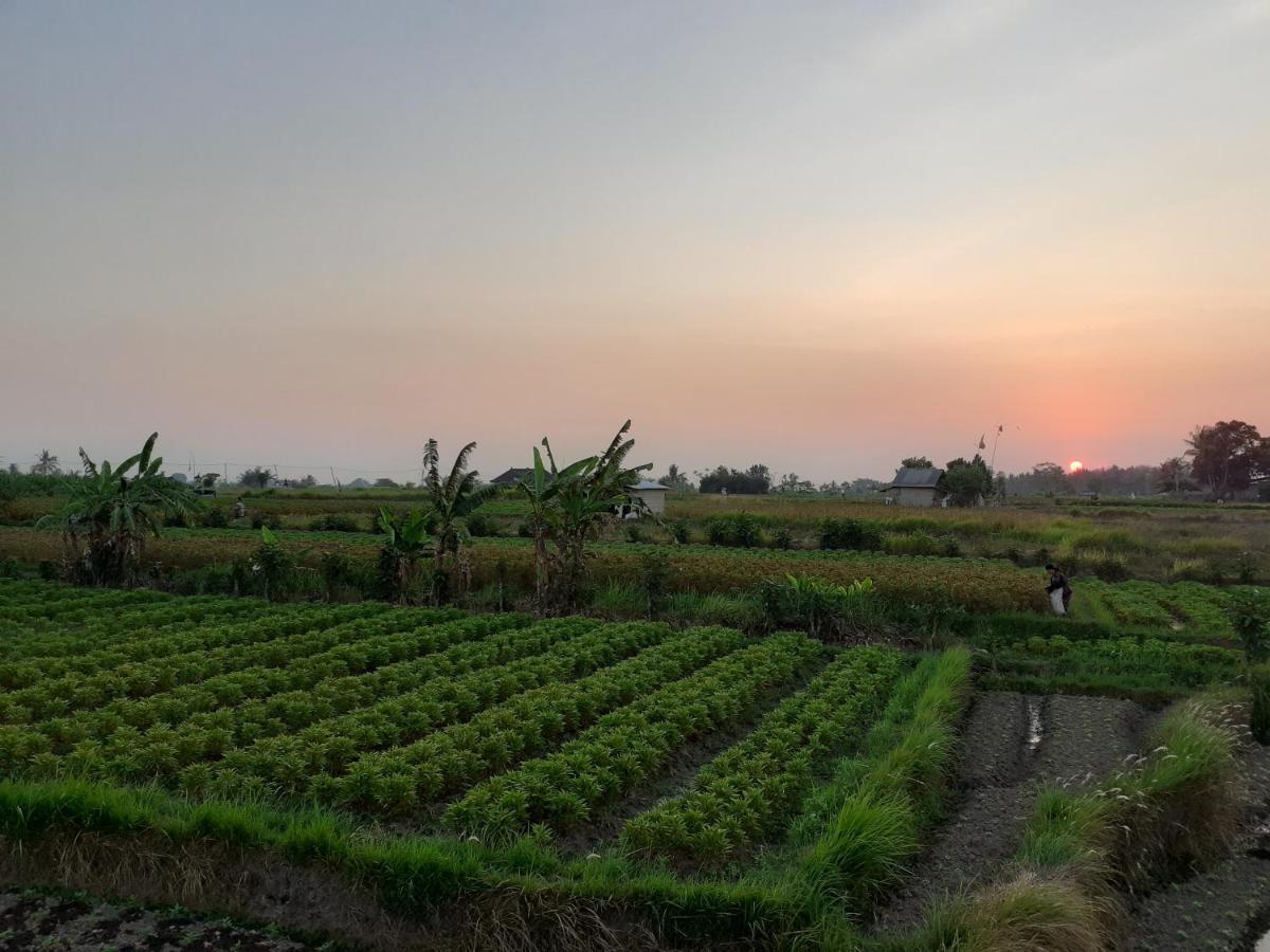 Ferienwohnung Griya Bun Sari Sukawati Exterior foto